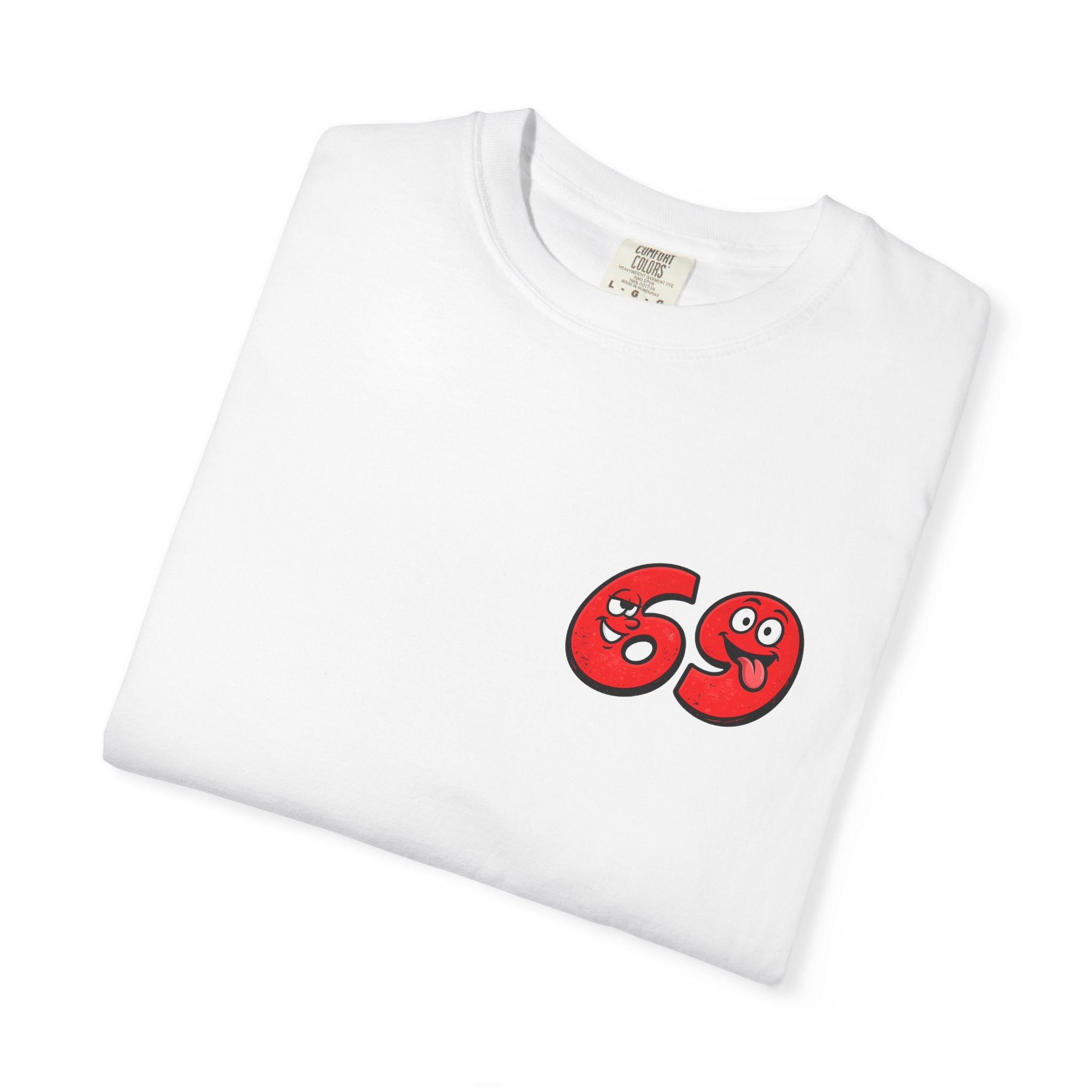 I Liked 69 Before 67 Existed T-Shirt | Funny Retro Number Graphic